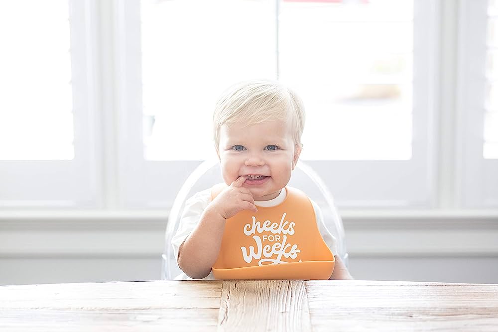 Cheeks for Weeks Wonder Bib