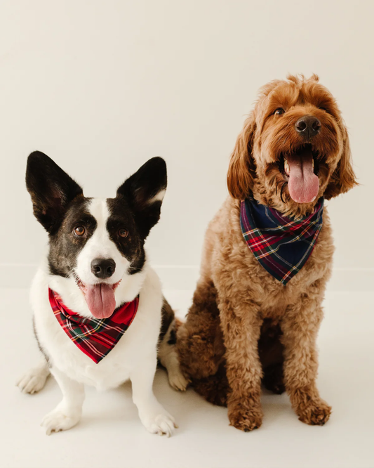 Imperial Tartan Dog Bandana